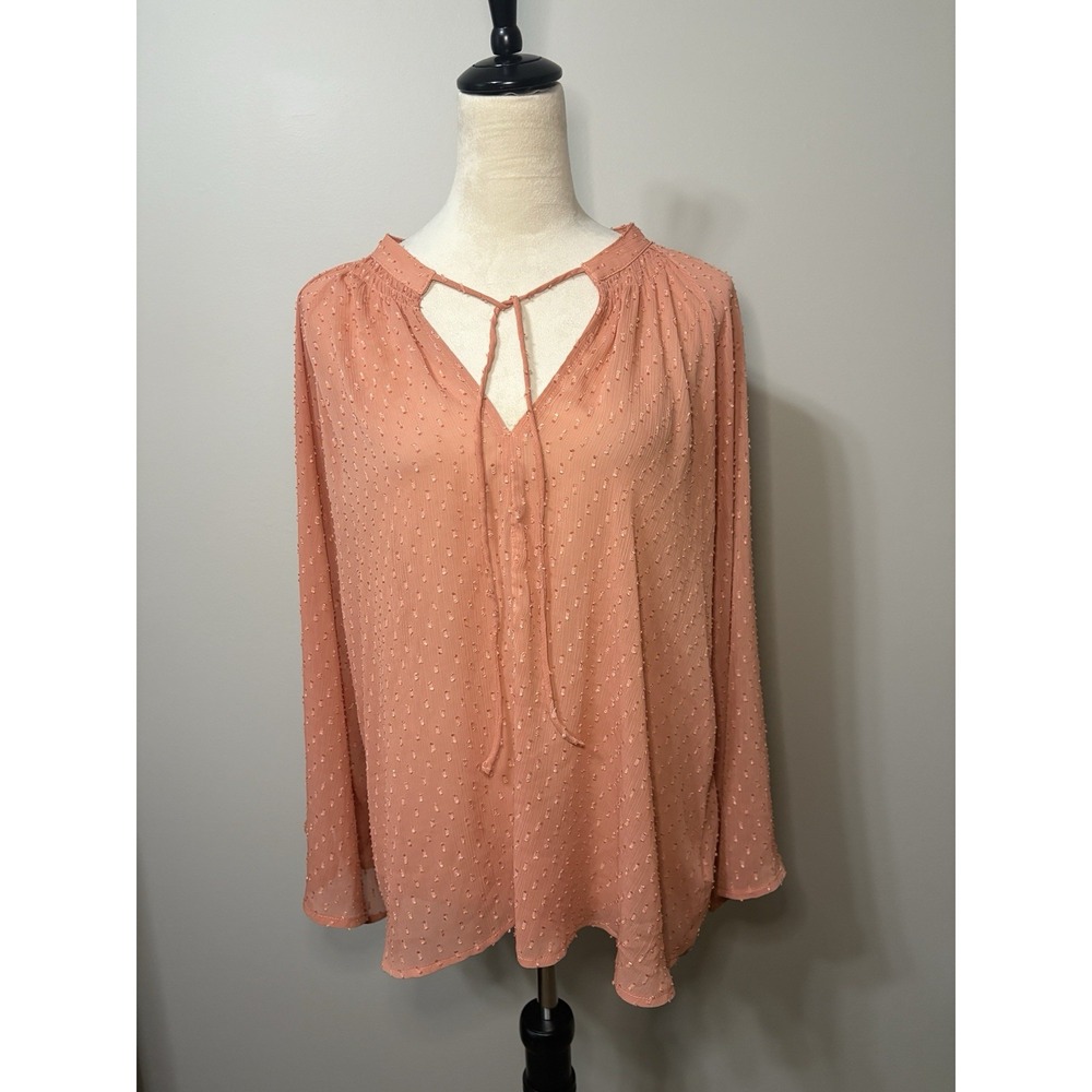 Bishop And Young Coral Semi Sheer Top Swiss Dot Long Sleeve Beachy Boho Medium